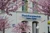 Kirschblüten in der Schönherrfabrik (31).JPG